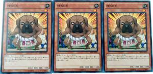 【遊戯王】横綱犬 3枚セット ノーマル モンスター　効果