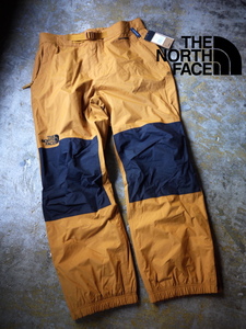 US購入 新品 L/ノースフェイス DRYVENT 防水 ナイロン100% パンツ THE NORTH FACE UP OVER PANT / スノー スキー