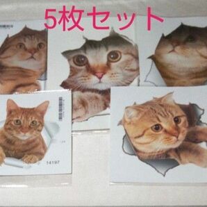 猫ステッカー　ウォールステッカー　シールタイプ【 5枚セット】☆ 壁からひょっこり 超リアル　猫シール 可愛い インテリア