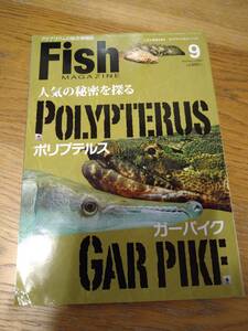 FISH MAGAZINE vol534　ポリプテルス　エンドリケリー　古代魚　大型魚