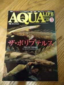 AQUALIFE　vol380　ポリプテルス　エンドリケリー　古代魚　大型魚