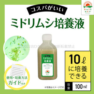 高コスパ【ミドリムシ培養液　100ml　10L培養分　送料無料】メダカ めだか 金魚 ミジンコ　ゾウリムシ　クロレラ　 針子　PSB 培養に