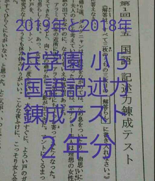 浜学園 小5 2019&2018年 国語記述力錬成テスト 中学受験 難関 最難関
