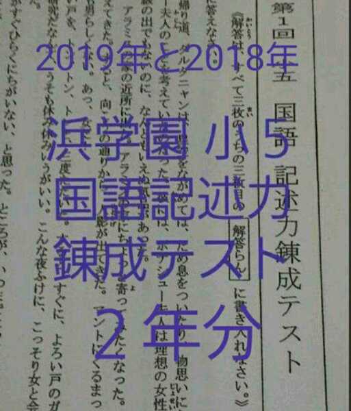 浜学園　小５　2019&2018年　国語記述力錬成テスト　中学受験　難関　最難関