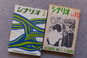 『月刊シナリオ』2冊 網走番外地/南国の対決 若者たち 石井輝男 大和屋竺 柴田翔 田村孟 虫明亜呂無 森卓也 黒木和雄 白坂依志夫 井上梅次