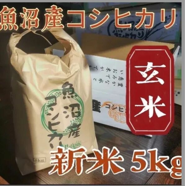 魚沼産コシヒカリ　玄米5kg 棚田米　令和5年新米