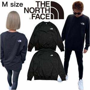 Тренер на севере лица NF0A5GKz Пота пустынь с марионированием Blash M Size The North Face M Simple Logo New