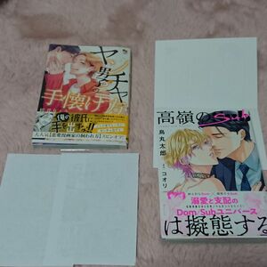 高嶺のSubは擬態する/ヤンチャ男子の手懐け方 アニメイト コミコミ 特典 ペーパー付き