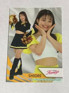 SHIORI 2022 BBM チアリーダー 舞 #60 日本ハム FIGHTERS GIRL ソフトバンク Honeys 即決