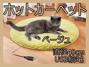 ホットカーペット　ペット　ベージュ　USB給電　犬　猫　足元　デスク下　机下