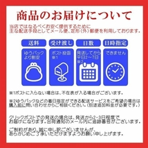 109/ PH試験紙 ペーハー試験紙 リトマス試験紙 リトマス紙 pH検査 次亜塩素酸 テストペーパー 水質検査 自由研究 ペット尿検査 理科実験_画像10