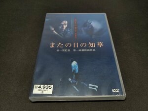 セル版 DVD 未開封 またの日の知華 / 難有 / ei448