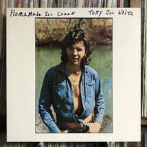 Tony Joe White / Homemade Ice Cream LP トニージョーホワイト　エリアコード615 SWAMP スワンプロック　SSW_画像1