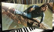 Tony Joe White / Homemade Ice Cream LP トニージョーホワイト　エリアコード615 SWAMP スワンプロック　SSW_画像4