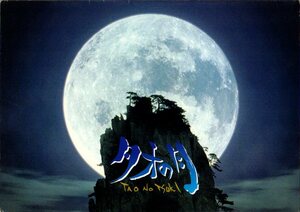 映画パンフレット　「タオの月」　雨宮慶太　森山祐子　阿部寛　永島敏行　1997年