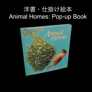 洋書・仕掛け絵本　Animal Homes: Pop-up Book