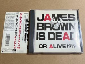 CD V.A. / JAMES BROWN IS SEAD OR ALIVE!? AVCD11040 ジェームス・ブラウン・イズ・デッド・オア・アライヴ 帯傷み 盤面キズ多い