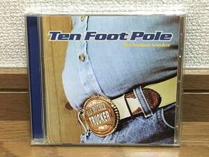 Ten Foot Pole / Bad Mother Trucker メロディック・パンク 傑作 国内盤 解説・歌詞対訳付 Pennywise Rancid NOFX Offspring Bad Religion