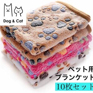 再入荷ペット用　ブランケット　10枚組　毛布　マット　敷物　犬　猫　お昼寝 ペット用毛布 犬用 猫用 敷物 ピンク