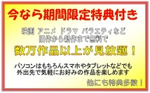 送料無料! DVD ブルーレイ 地デジディスク 対応 ◆特典付き！◆_画像3