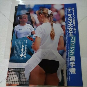 ドキッチ　クルニコワ　ヒンギス　女子テニス　ハプニング　切抜き　2ページ　ELV 
