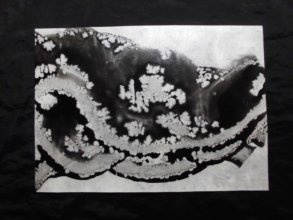 cuadro, imagen, arte, escritura, imagen original, pintura abstracta, Estilo de pintura con tinta, monocromo, arte Moderno, interior, Procesamiento especial, Yasusei Shimamori *Enviado en un marco, obra de arte, cuadro, otros