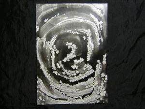 Art hand Auction pintura abstracta, Estilo de pintura con tinta, cuadro, imagen, arte, ilustración dibujada a mano, monocromo, moderno, interior, Procesamiento especial, Yasusei Shimamori *Enviado en un marco, obra de arte, cuadro, otros