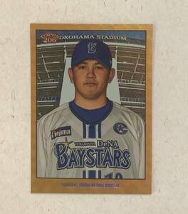 1枚限定　パラレル　1/1　　山﨑康晃　　2023 Topps Npb 206　横浜DeNA　山﨑