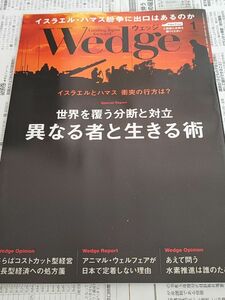 【Wedge】ウェッジ 2024年1月号