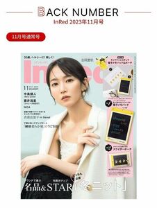 InRed 雑誌付録 ピカチュウ電子メモパッド ポーチ