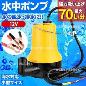 水中 ポンプ 12V ワニクリップ クランプ スイッチ付 小型 給水 排水 海水 水槽 電動 汚水 散水 排水 釣り 建設機械 農業 キャンプ F357