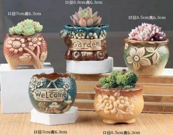 植木鉢 多肉植物 鉢 寄せ植え フラワーポット