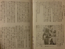 希少☆『戦前 佐藤紅霞 「世界性欲学辞典」 弘文社 昭和8年 杉田直樹閲 序文クラウス博士 /変態心理 迷信 貞操帯 変態風俗 屍愛 精神分析』_画像4