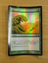 MTG　　　不屈の自然　日FOIL　（M10）_画像1