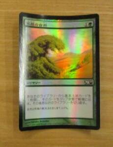 MTG　　　不屈の自然　日FOIL　（M10）