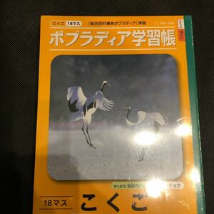 新品 サンスター ポプラディア学習帳 SB-06 こくご18マス ポプラディア 5冊セット