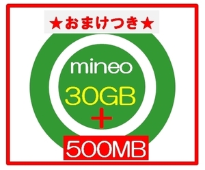 ★おまけ500MBあり★ mineoマイネオ パケットギフト 30GB