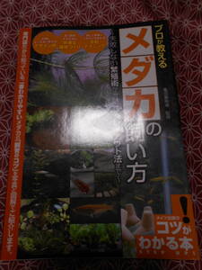★専門店が教える メダカの飼い方 改訂版 失敗しない繁殖術から魅せるレイアウト法まで (コツがわかる本!)亀田養魚場 (監修)★