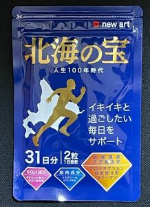 【送料無料、追跡番号付、匿名発送】 北海の宝 31日分 NEW ART HOLDINGS　ニューアートホールディングス 株主優待品