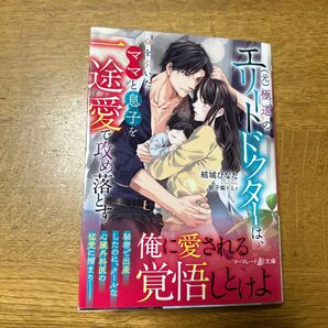 〈元〉極道のエリートドクターは、身を引いたママと息子を一途愛で攻め落とす （マーマレード文庫　ユ４－０１） 結城ひなた／著