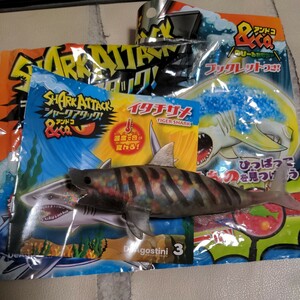 シャークアタック＆co.　イタチザメ shark attack 新品 シャークアタック&Co. SHARK ATTACK&Co. 　デアゴスティーニ