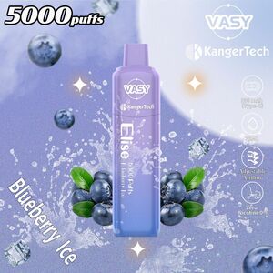 シーシャ 電子タバコ 使い捨て 5000回吸引 VAPE ベイプ 水蒸気タバコ 禁煙パイポ 禁煙グッズ ブルーベリーアイス