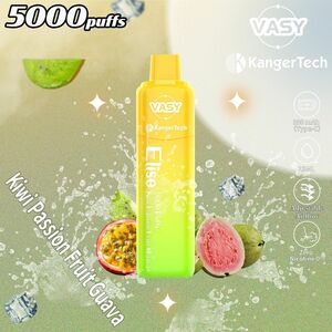 シーシャ 電子タバコ 使い捨て 5000回吸引 VAPE ベイプ 水蒸気タバコ 禁煙パイポ 禁煙グッズ キウイパッショングァバ