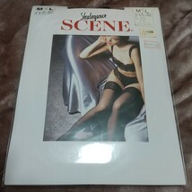 ガーターストッキング(scene、M～L、ブラック)_画像1