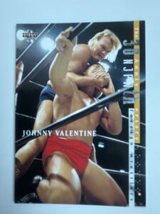 BBM 2002 新日本プロレスカード　30周年記念カード　#105　ジョニー・バレンタイン　Johnny Valentine　NJPW　NWA　WWWF　WWF　　
