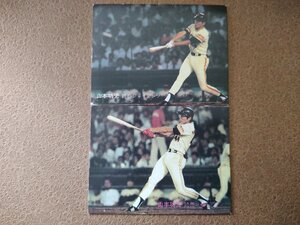 山本功児 '81プロ野球カード カルビー