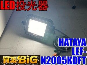 【愛知 東海店】CF836【売切り】HATAYA LED投光器 LEF-N2005KDFT 50/60Hz ★ ハタヤ 畑谷 照明 夜間 作業灯 LEDライト ★ 中古