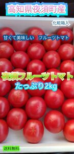 ○高知県夜須町産 夜須トマト フルーツトマト 2kg 送料無料 高知から出荷、鮮度抜群です。