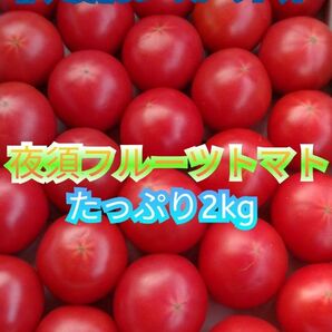 ○高知県夜須町産 夜須トマト フルーツトマト 2kg 送料無料 高知から出荷、鮮度抜群です。