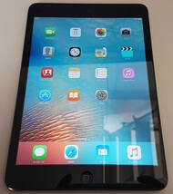 Apple iPad mini Wi-Fiモデル 16GB MD528J/A　中古　7.9インチ_画像1